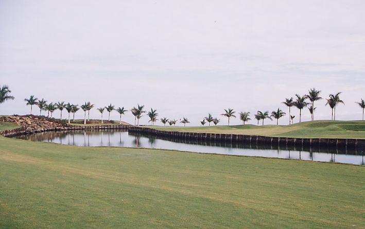 �r�b�O�A�C�����h�J���g���[�N���u 2000�N