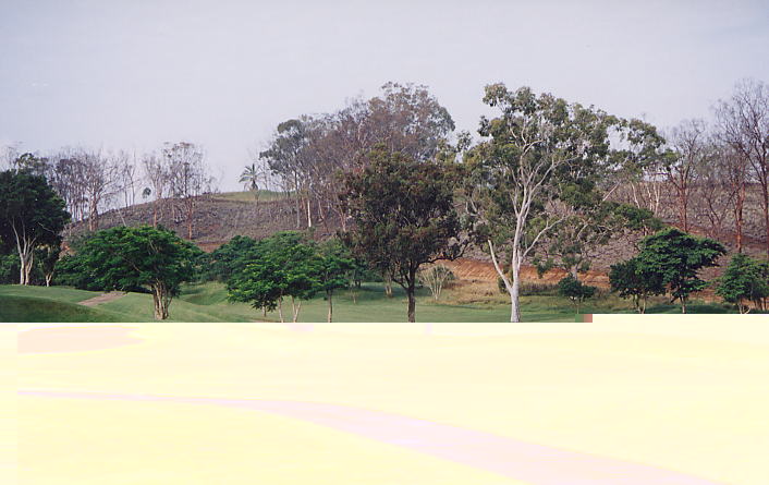 �r�b�O�A�C�����h�J���g���[�N���u 2000�N