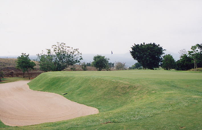 �r�b�O�A�C�����h�J���g���[�N���u 2000�N