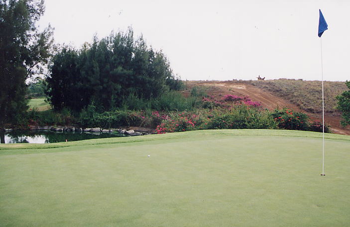 �r�b�O�A�C�����h�J���g���[�N���u 2000�N