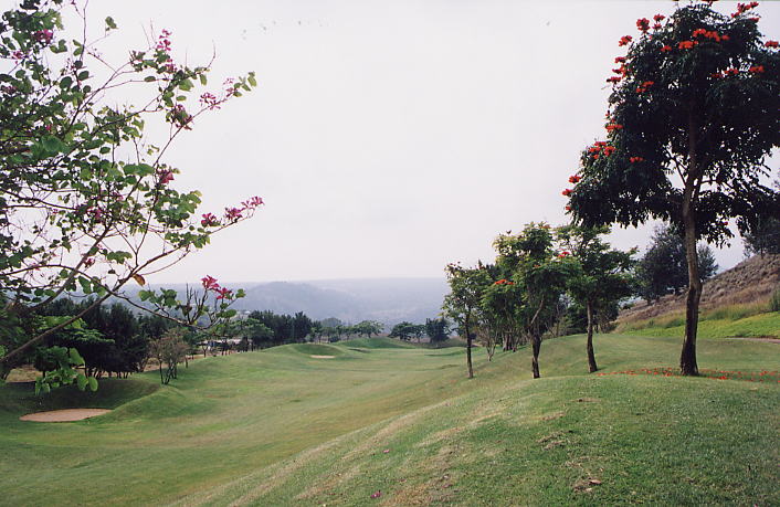 �r�b�O�A�C�����h�J���g���[�N���u 2000�N