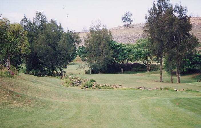 �r�b�O�A�C�����h�J���g���[�N���u 2000�N