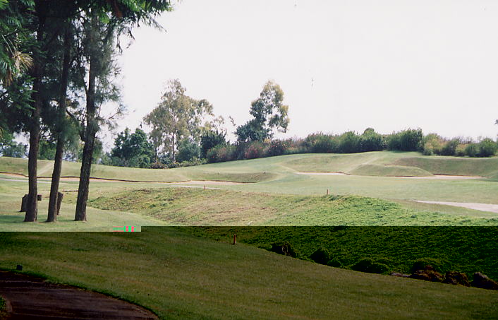 �r�b�O�A�C�����h�J���g���[�N���u 2000�N