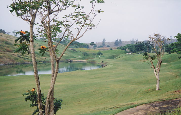 �r�b�O�A�C�����h�J���g���[�N���u 2000�N