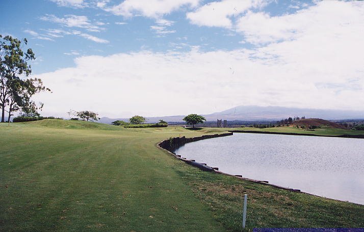 �r�b�O�A�C�����h�J���g���[�N���u 2000�N