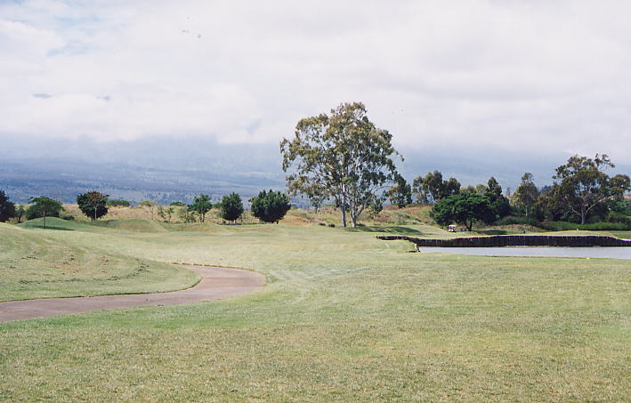 �r�b�O�A�C�����h�J���g���[�N���u 2000�N