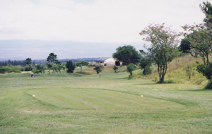 �r�b�O�A�C�����h�J���g���[�N���u 2000�N