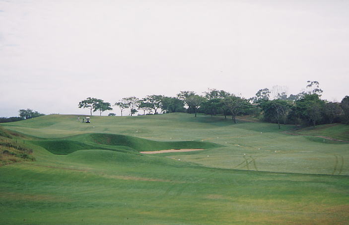 �r�b�O�A�C�����h�J���g���[�N���u 2000�N