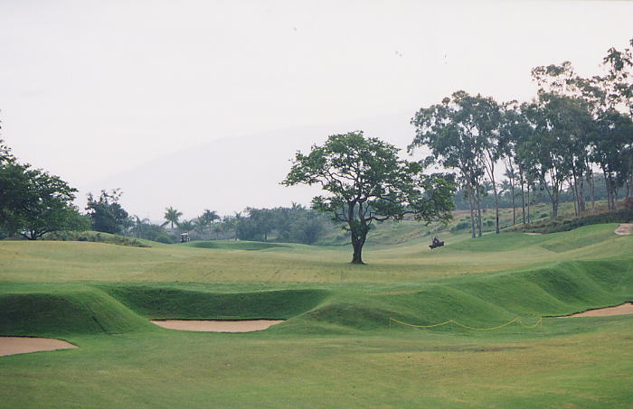 �r�b�O�A�C�����h�J���g���[�N���u 2000�N