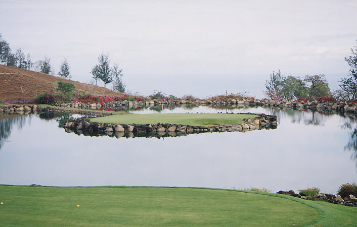 �r�b�O�A�C�����h�J���g���[�N���u 2000�N