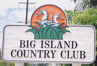 �r�b�O�A�C�����h�J���g���[�N���u 2000�N