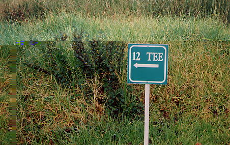 �r�b�O�A�C�����h�J���g���[�N���u 2000�N