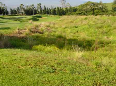 �r�b�O�A�C�����h�J���g���[�N���u 2004�N