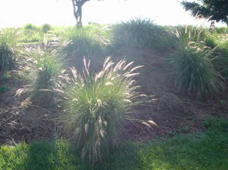 �r�b�O�A�C�����h�J���g���[�N���u 2004�N