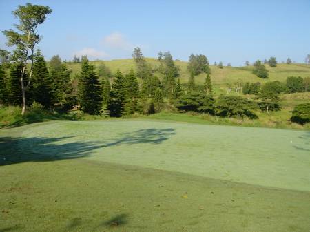 �r�b�O�A�C�����h�J���g���[�N���u 2004�N