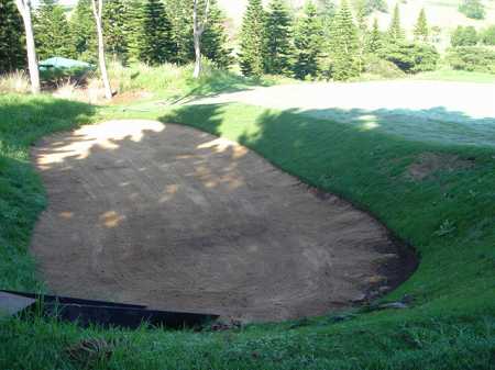 �r�b�O�A�C�����h�J���g���[�N���u 2004�N