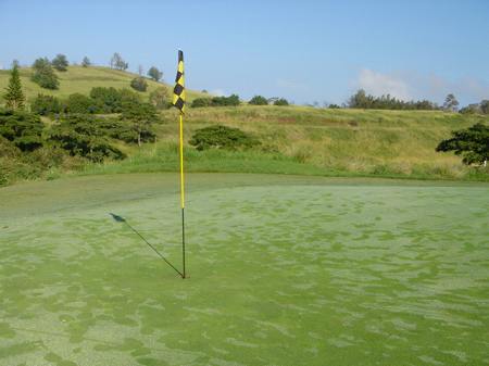 �r�b�O�A�C�����h�J���g���[�N���u 2004�N