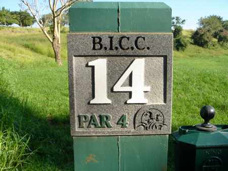 �r�b�O�A�C�����h�J���g���[�N���u 2004�N