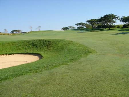 �r�b�O�A�C�����h�J���g���[�N���u 2004�N