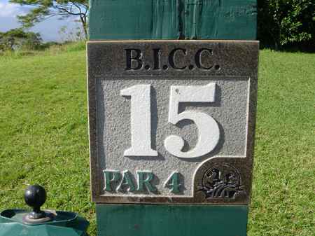 �r�b�O�A�C�����h�J���g���[�N���u 2004�N