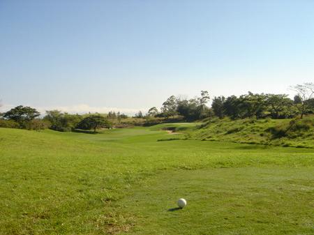 �r�b�O�A�C�����h�J���g���[�N���u 2004�N