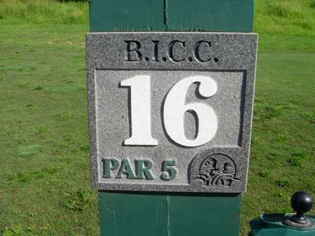 �r�b�O�A�C�����h�J���g���[�N���u 2004�N