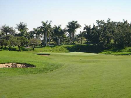 �r�b�O�A�C�����h�J���g���[�N���u 2004�N