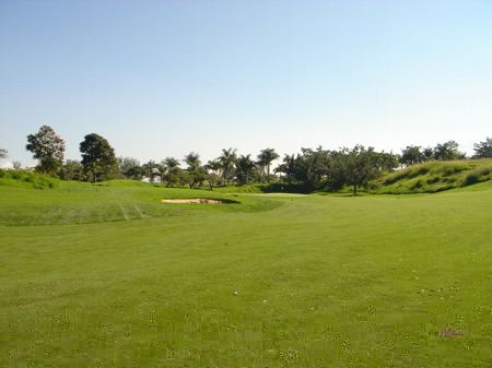 �r�b�O�A�C�����h�J���g���[�N���u 2004�N