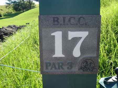 �r�b�O�A�C�����h�J���g���[�N���u 2004�N