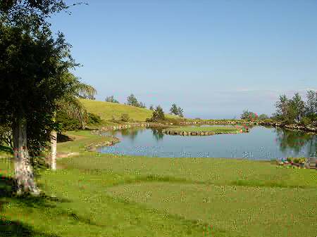 �r�b�O�A�C�����h�J���g���[�N���u 2004�N