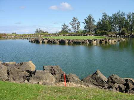 �r�b�O�A�C�����h�J���g���[�N���u 2004�N