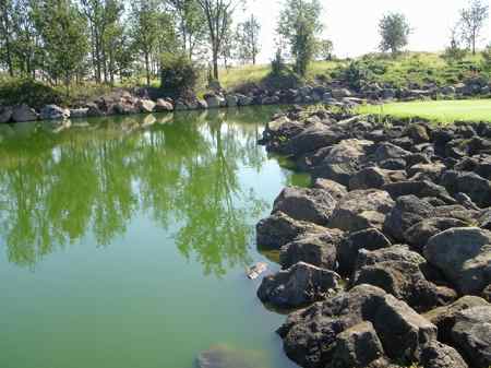 �r�b�O�A�C�����h�J���g���[�N���u 2004�N