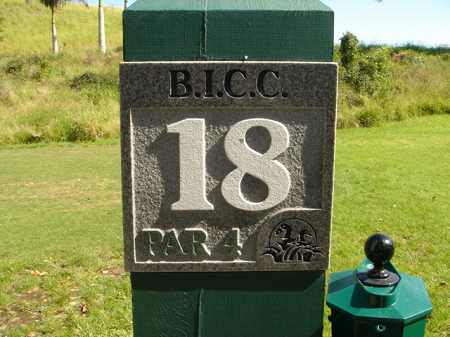 �r�b�O�A�C�����h�J���g���[�N���u 2004�N