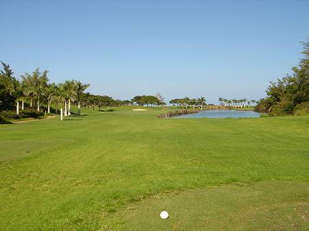 �r�b�O�A�C�����h�J���g���[�N���u 2004�N