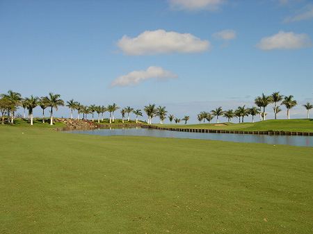 �r�b�O�A�C�����h�J���g���[�N���u 2004�N