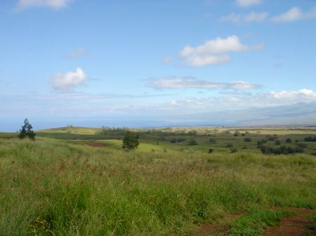 �r�b�O�A�C�����h�J���g���[�N���u 2004�N