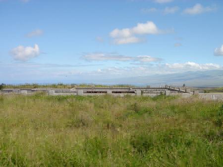 �r�b�O�A�C�����h�J���g���[�N���u 2004�N