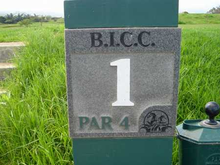 �r�b�O�A�C�����h�J���g���[�N���u 2004�N