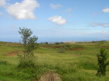 �r�b�O�A�C�����h�J���g���[�N���u 2004�N