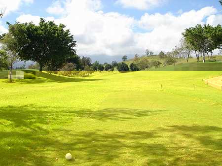 �r�b�O�A�C�����h�J���g���[�N���u 2004�N