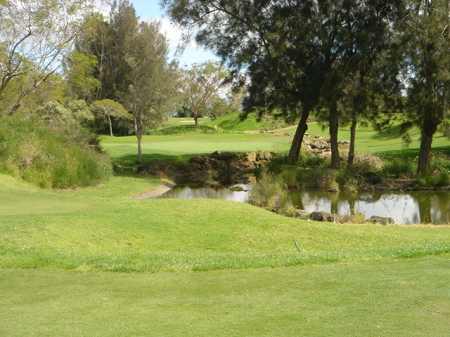 �r�b�O�A�C�����h�J���g���[�N���u 2004�N