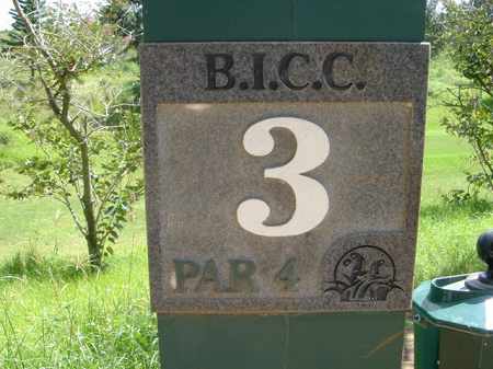 �r�b�O�A�C�����h�J���g���[�N���u 2004�N