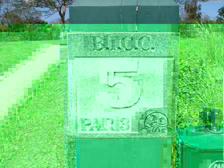 �r�b�O�A�C�����h�J���g���[�N���u 2004�N