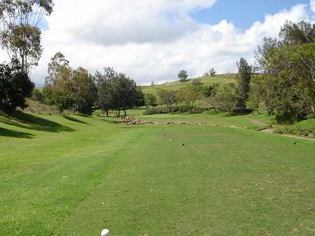 �r�b�O�A�C�����h�J���g���[�N���u 2004�N