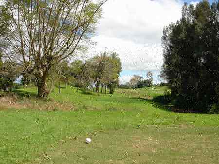 �r�b�O�A�C�����h�J���g���[�N���u 2004�N