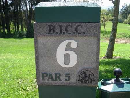 �r�b�O�A�C�����h�J���g���[�N���u 2004�N