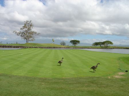 �r�b�O�A�C�����h�J���g���[�N���u 2004�N