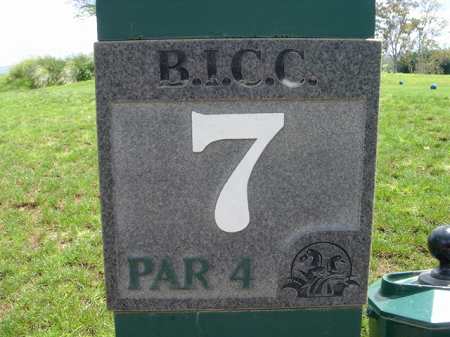 �r�b�O�A�C�����h�J���g���[�N���u 2004�N