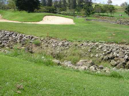 �r�b�O�A�C�����h�J���g���[�N���u 2004�N