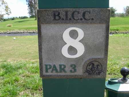 �r�b�O�A�C�����h�J���g���[�N���u 2004�N